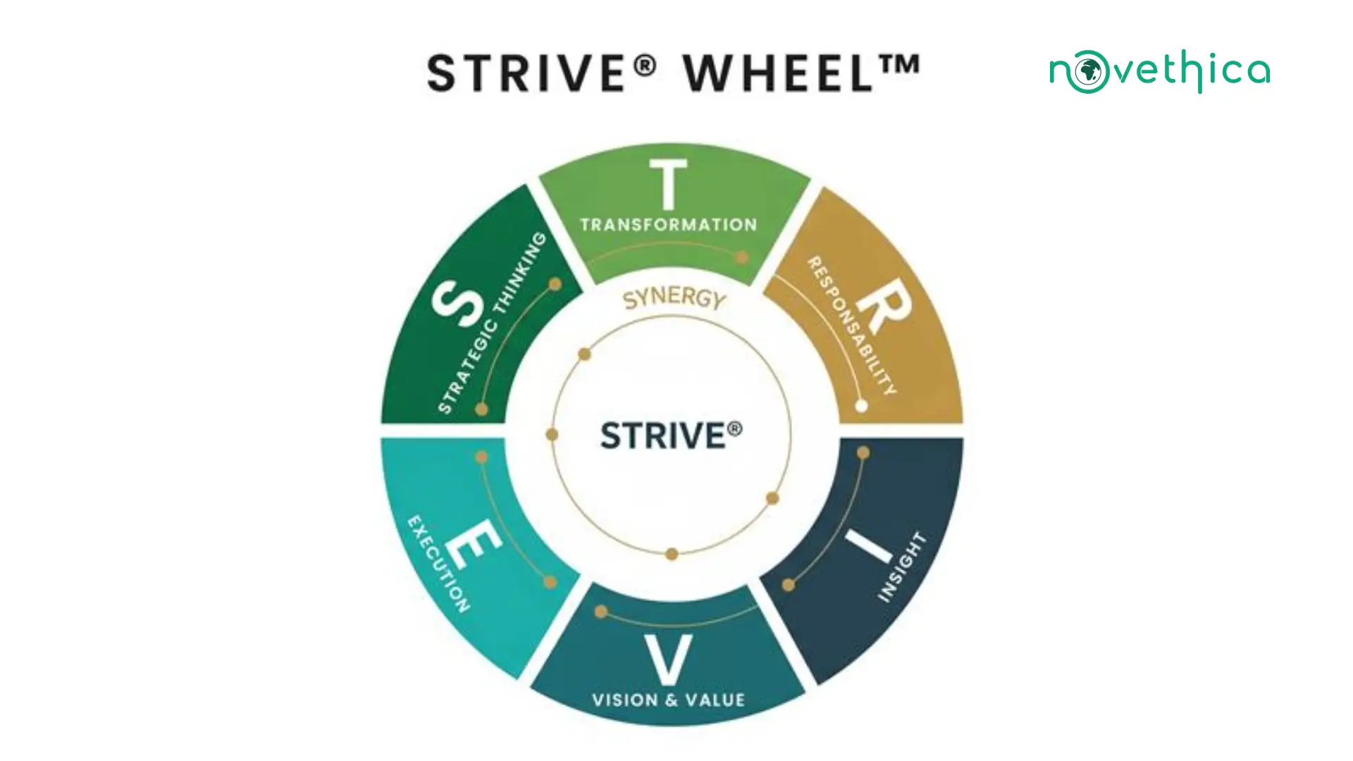 Économie circulaire STRIVE®
